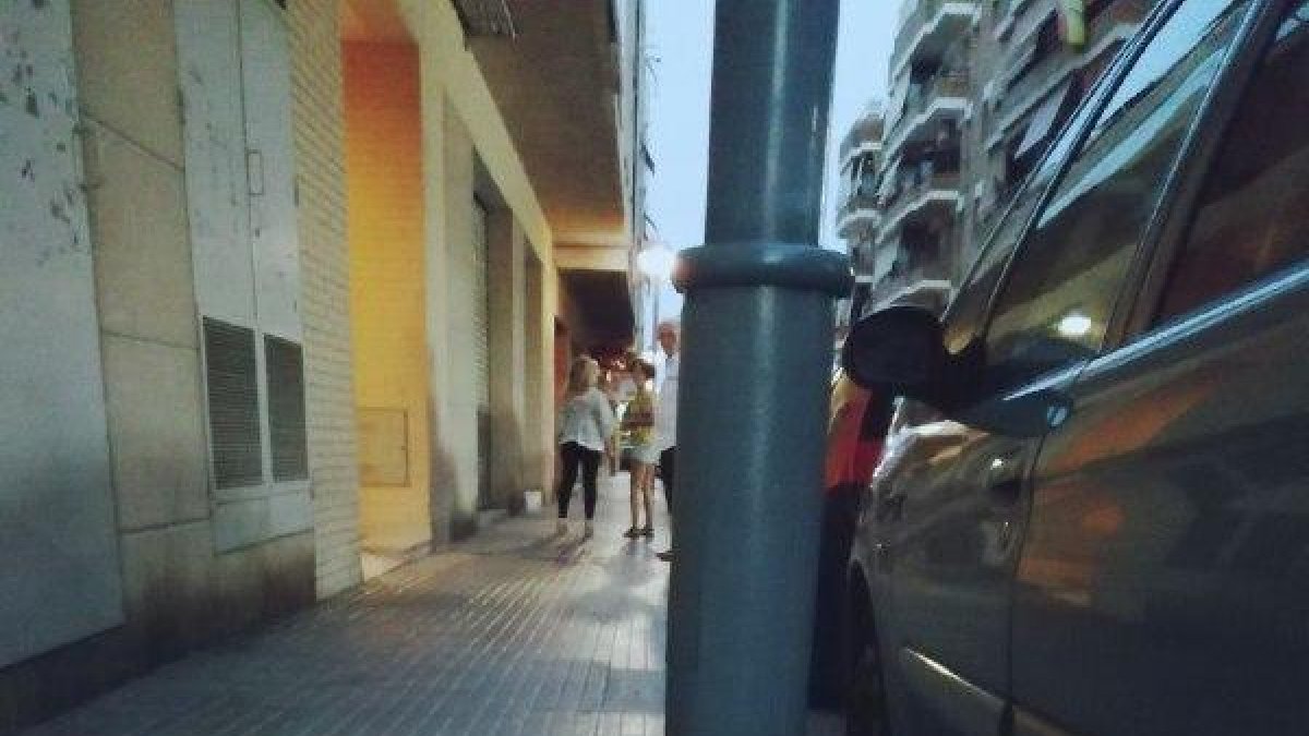 Vila-seca aprova una moció per plantar cara als orins de gos a la via pública