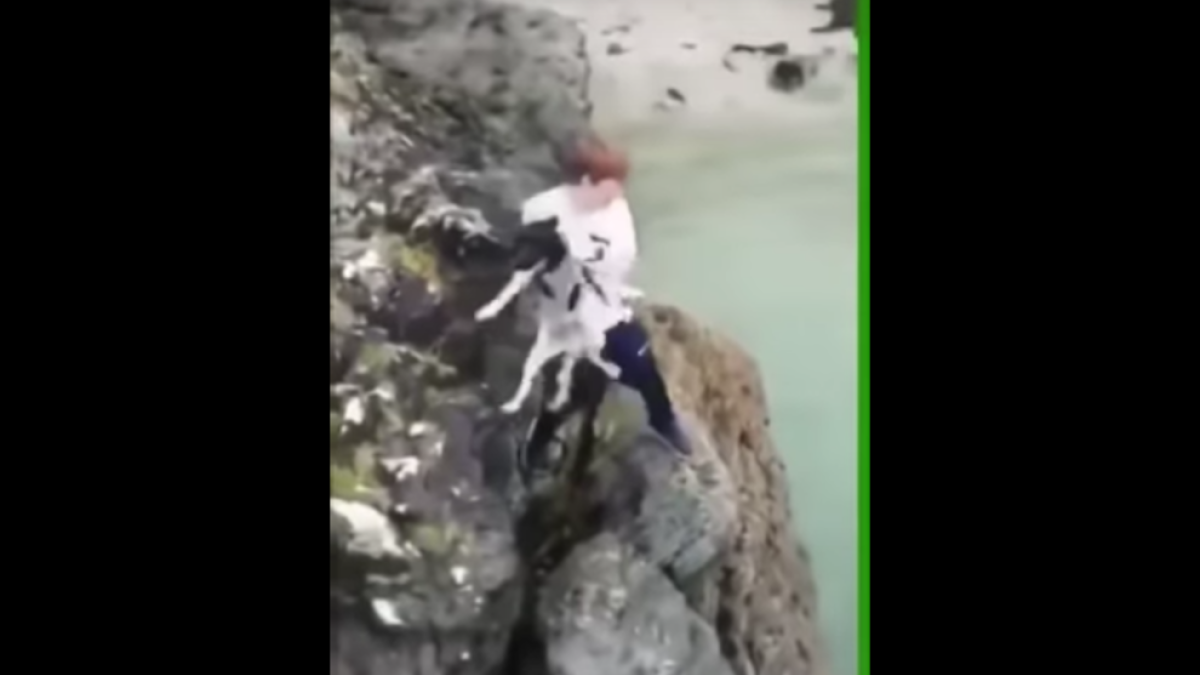 Buscan a un chico que lanzó un perro en el mar desde un acantilado
