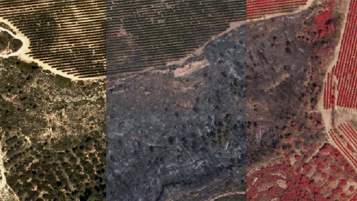 El ICGC publica imágenes aéreas del área quemada por el incendio de la Ribera d'Ebre