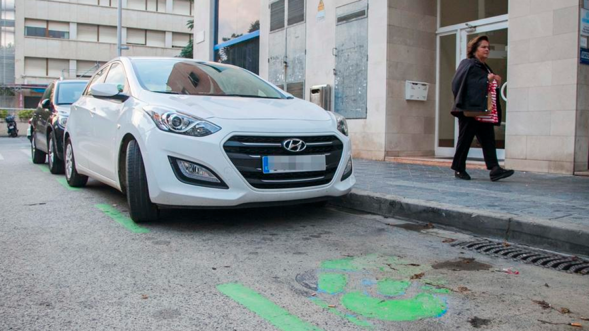 Cs proposarà al ple una campanya per informar als estrangers amb dret a vot