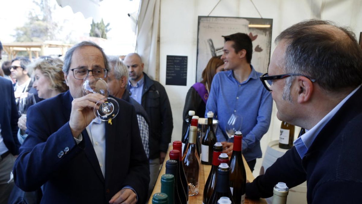 Quim Torra inaugura la Feria del Vino de Falset, que este año bate el récord de bodegas participantes
