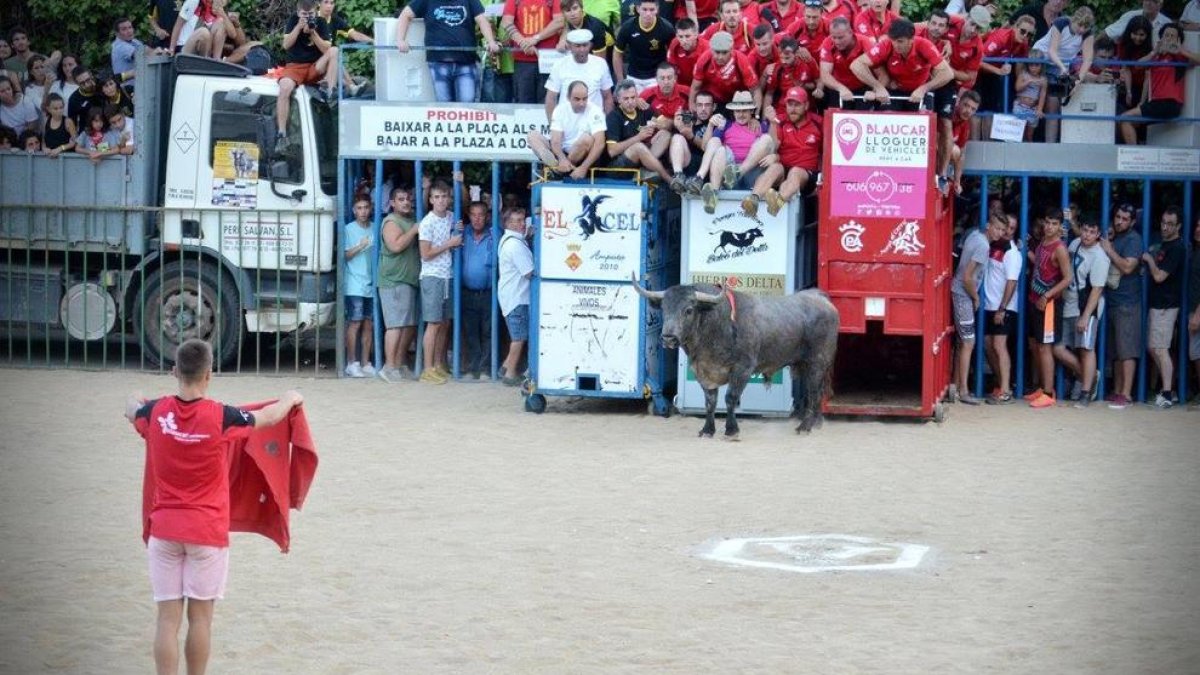 Las peñas taurinas de Amposta se unen para defender la fiesta de los toros