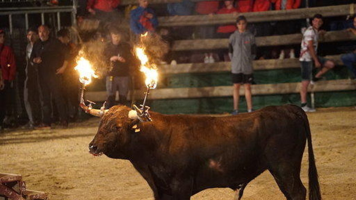 Los animalistas interponen seis denuncias por presuntas infracciones en correbous del Ebre