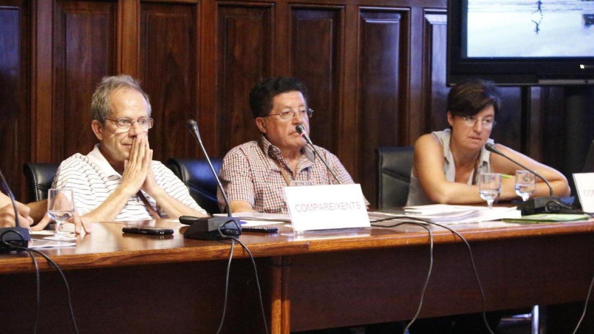 regulación olivos monumentales, campesinos, Parlamento, regulación, compensaciones, afectados
