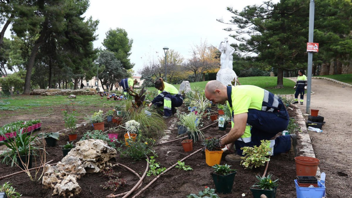 Mig any d'incompliments en el contracte per cuidar les zones verdes