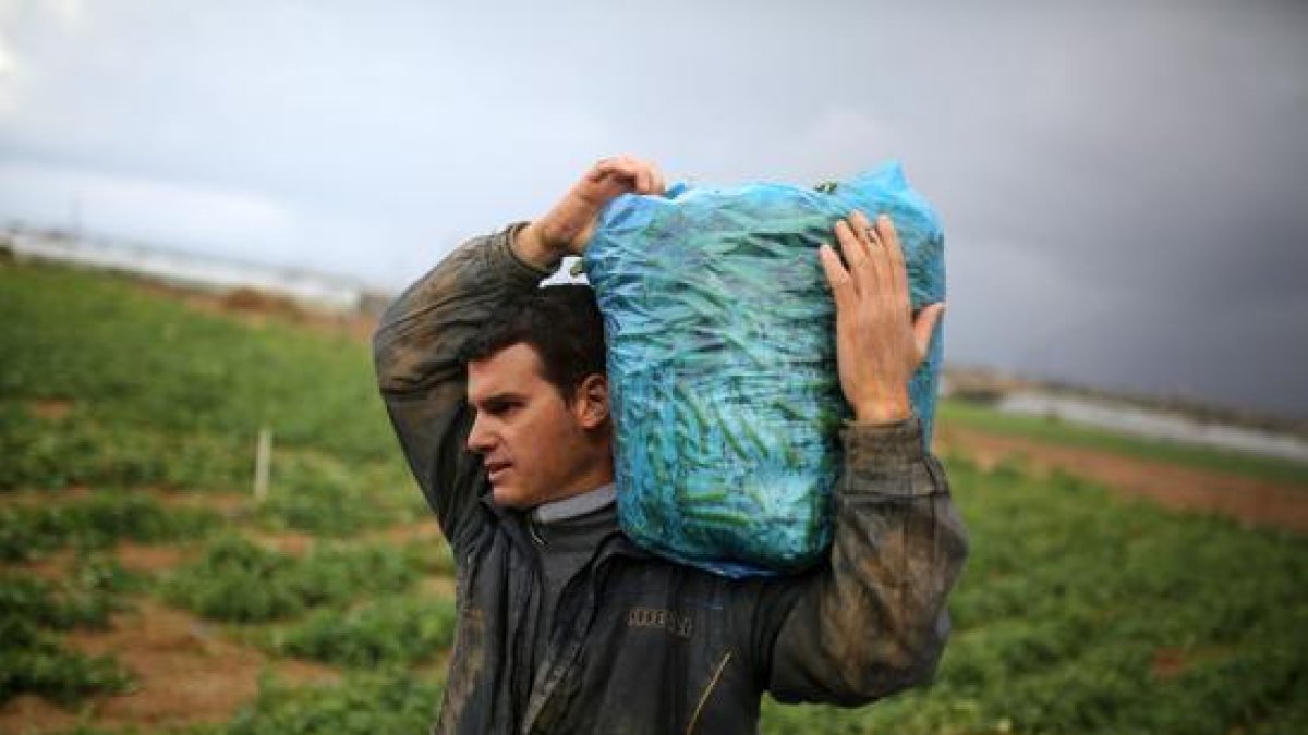 Save the Children recrea como habría sido la vida de los políticos españoles con una infancia pobre