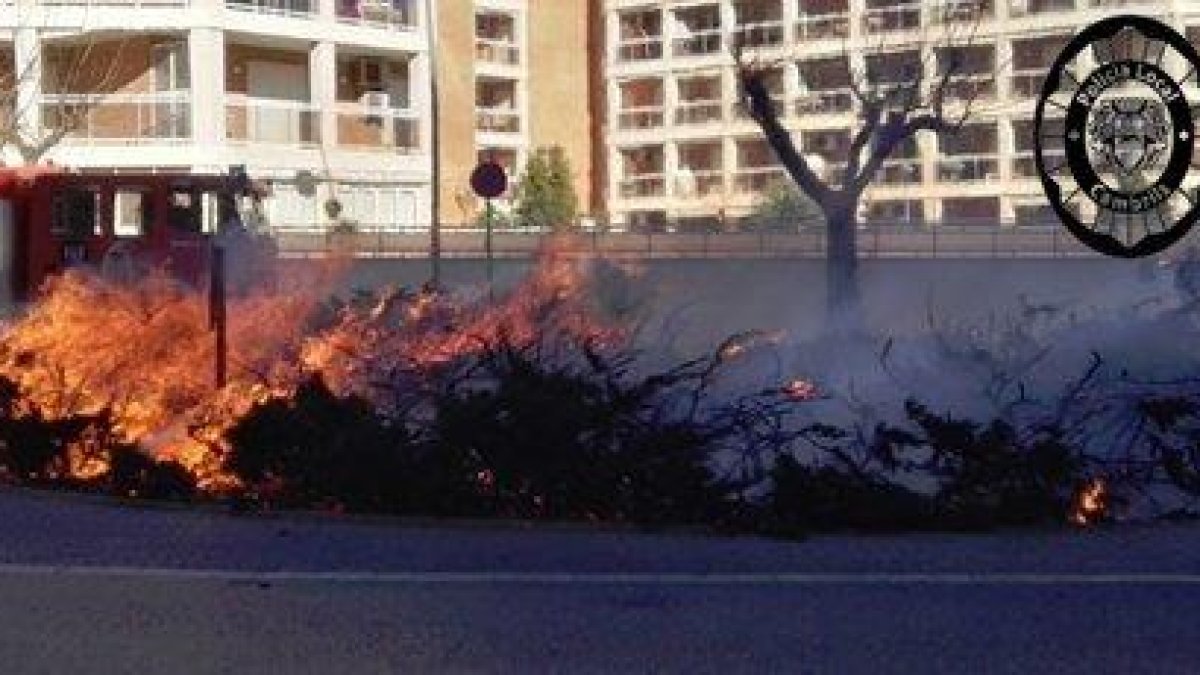 Cremen les plantes d'una rotonda de Cambrils