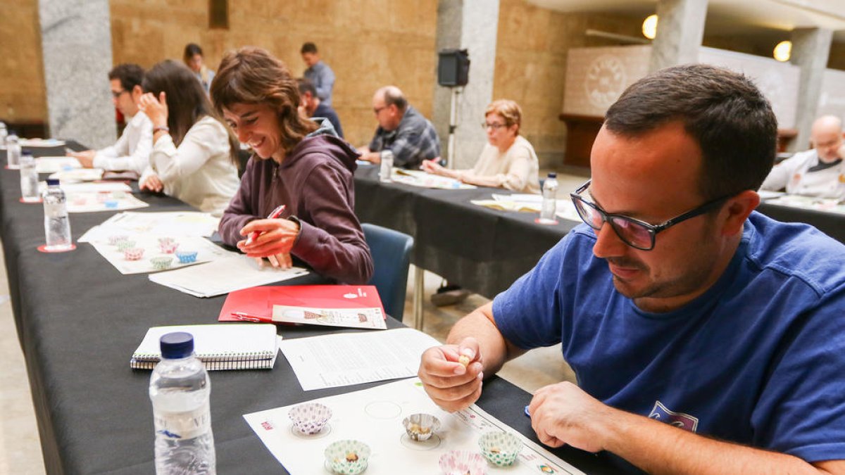 Un tast dona el tret de sortida al 'Temps d'avellana'