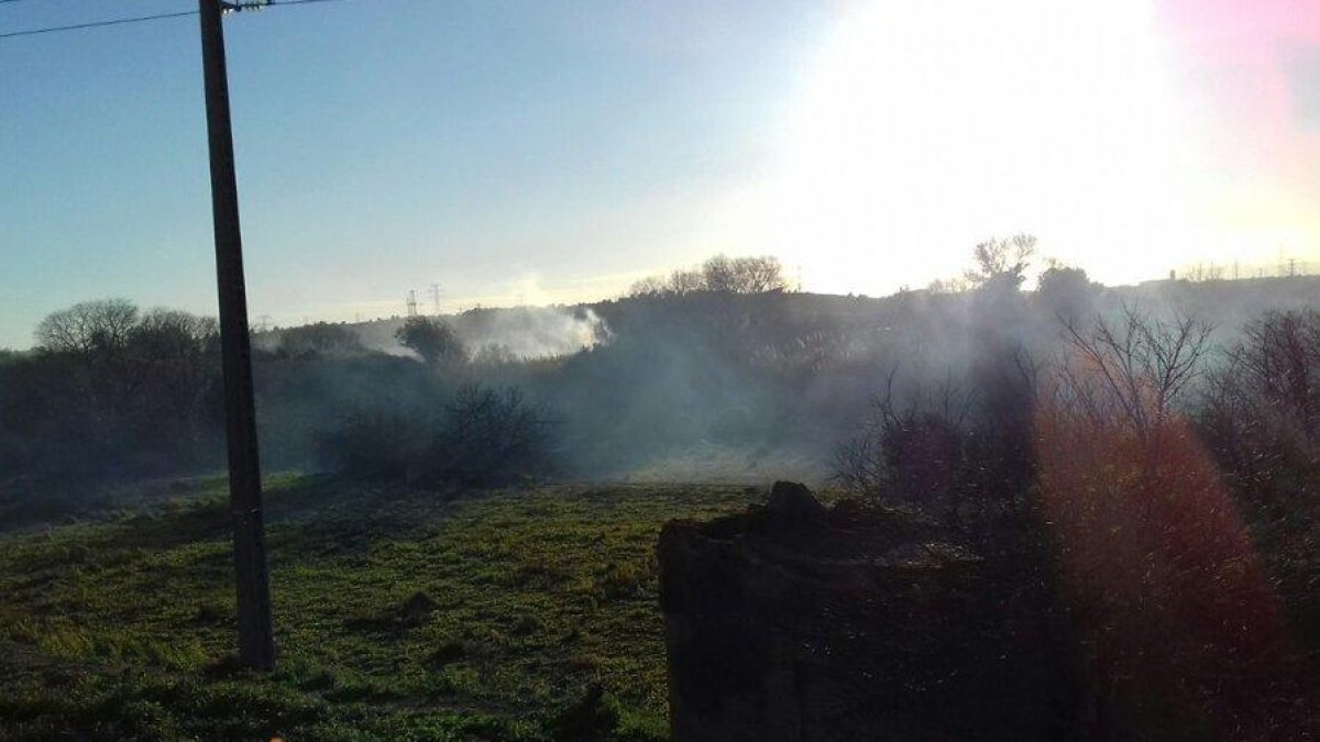 Un incendio cerca de la TV-7211 en Constantí moviliza cinco dotaciones de Bombers