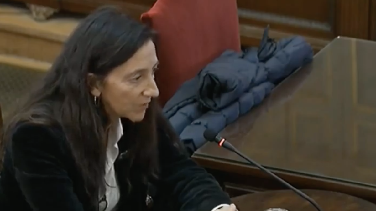 Una dissenyadora gràfica diu que va anul·lar una factura al Govern perquè la va citar la Guàrdia Civil