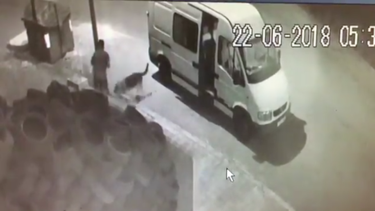 Pacma difon les imatges de l'abandonament d'un gos al Vendrell
