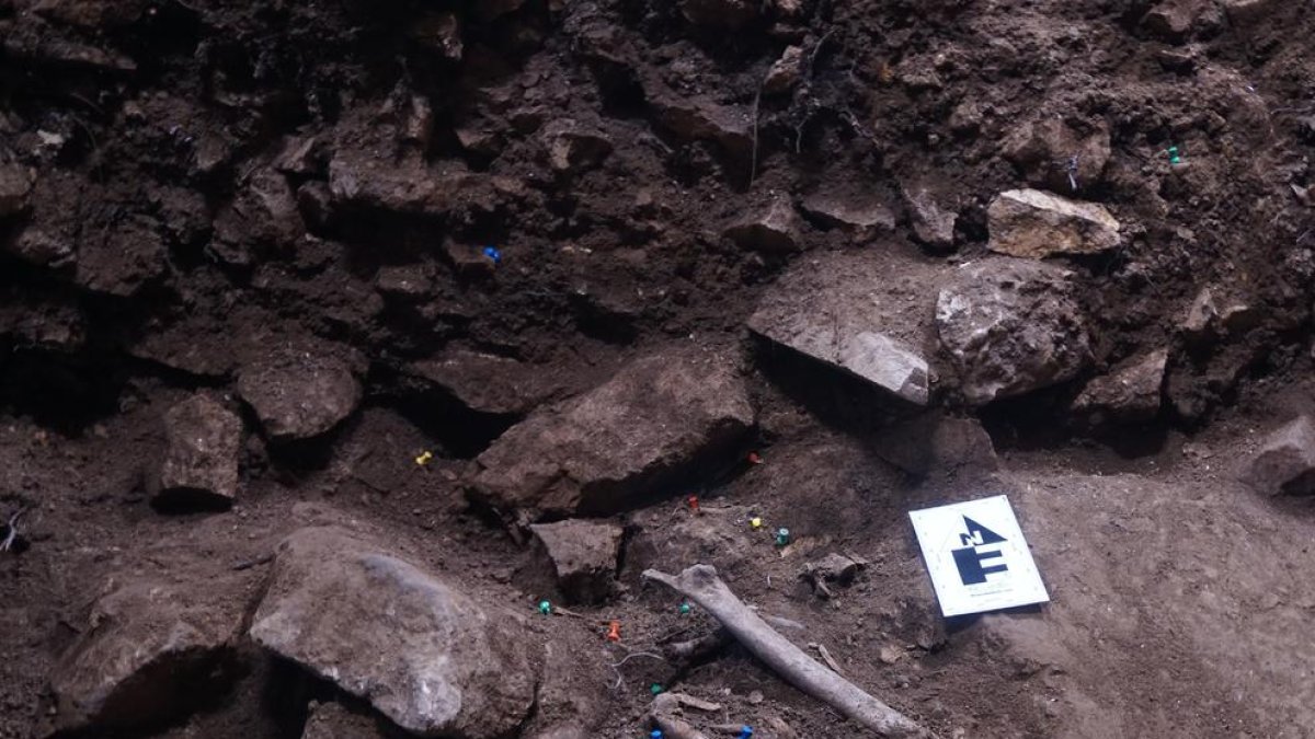 Vimbodí, excavació, IPHES, cova, jaciment, resta