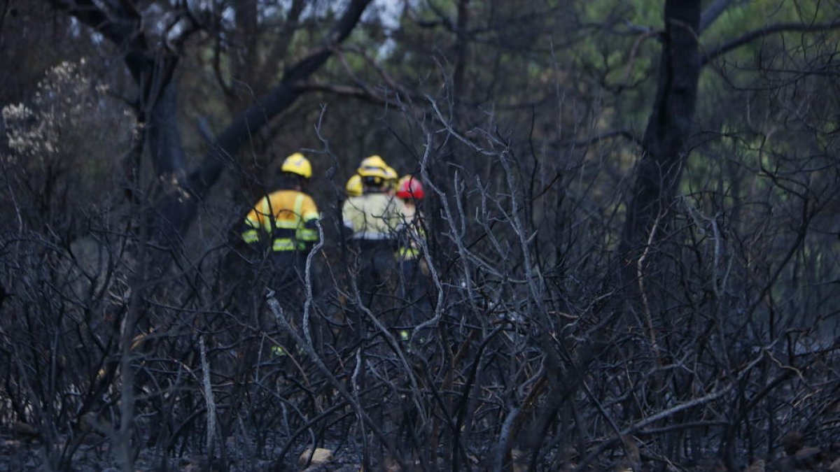 Els Bombers donen per controlat l'incendi de Querol