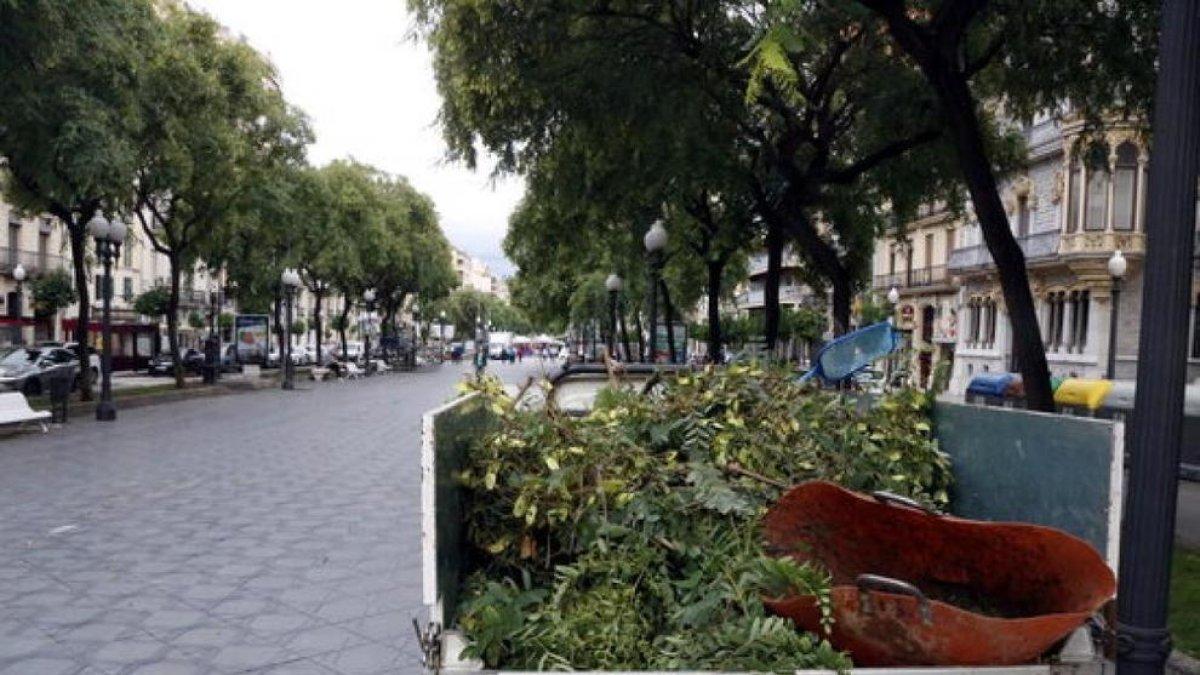 El gobierno propone sancionar EPID por incumplimientos