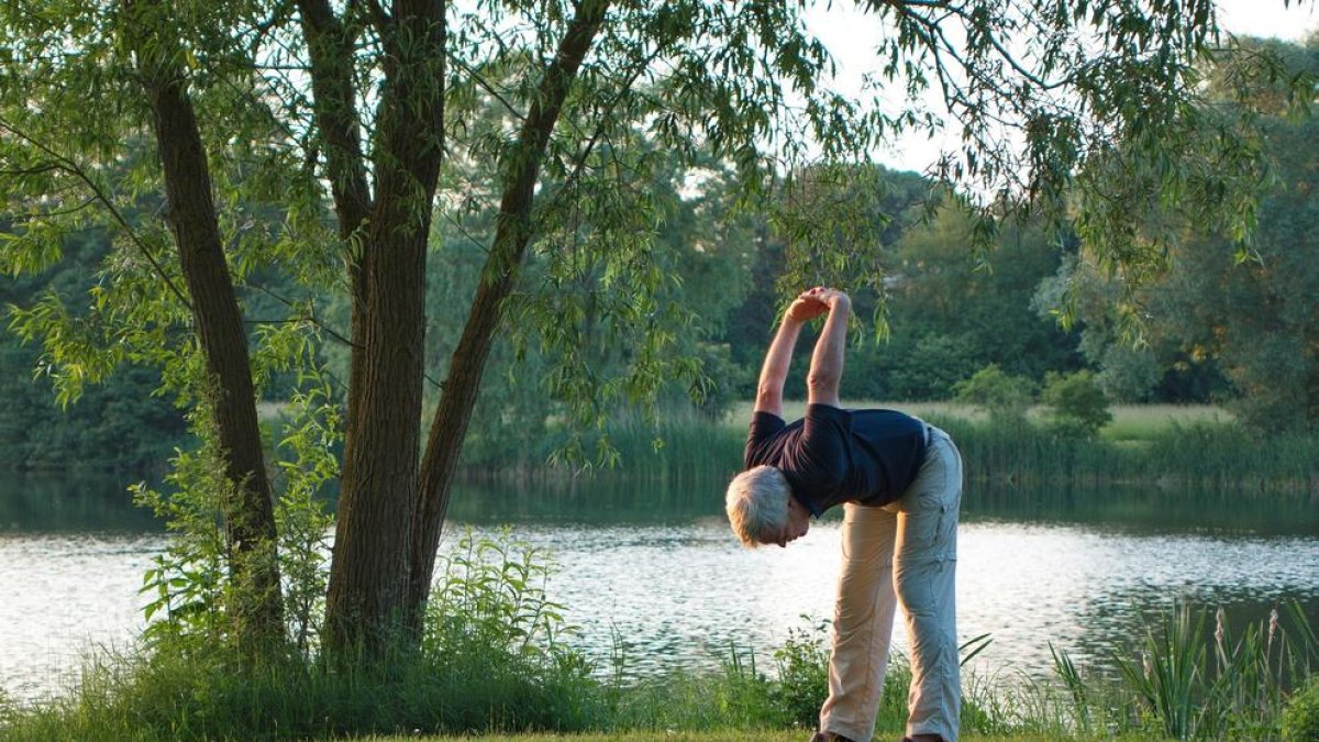 El ejercicio físico puede mitigar pérdidas cerebrales asociadas a la edad y el envejecimiento, según un estudio del CSIC