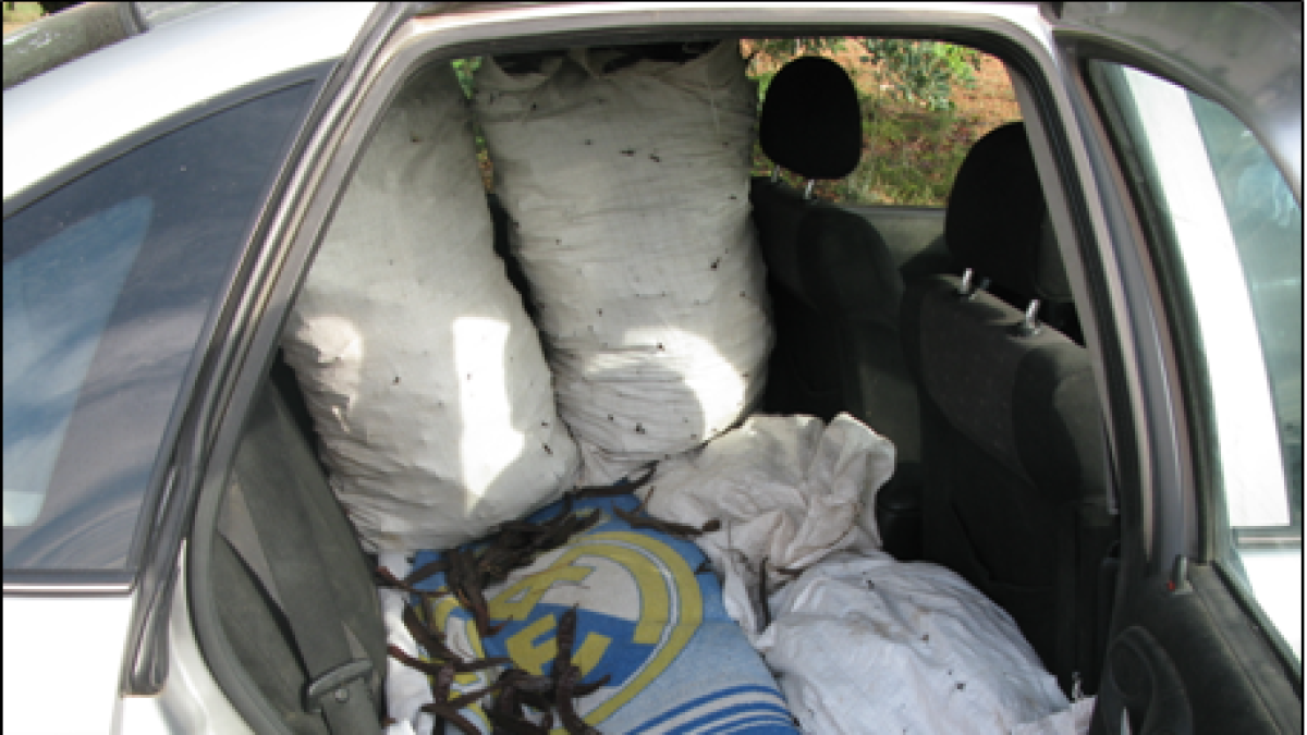 algarrobas, valls, finca agrícola, alt camp,