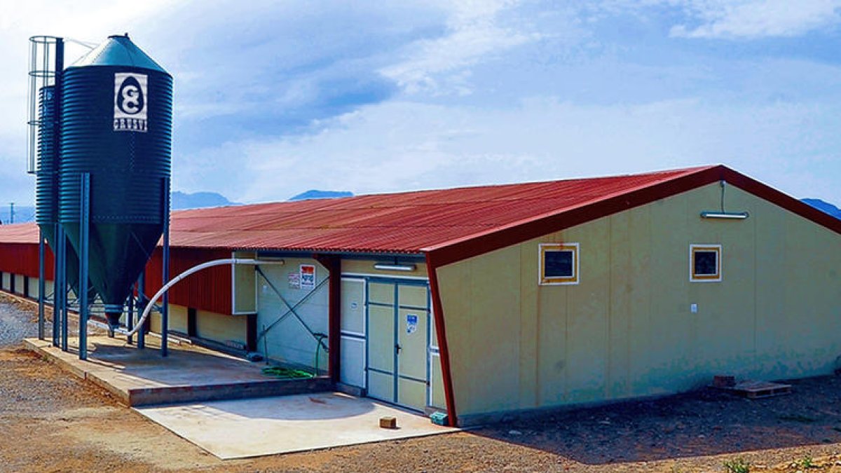 pollastres, crusvi, reus, riudoms