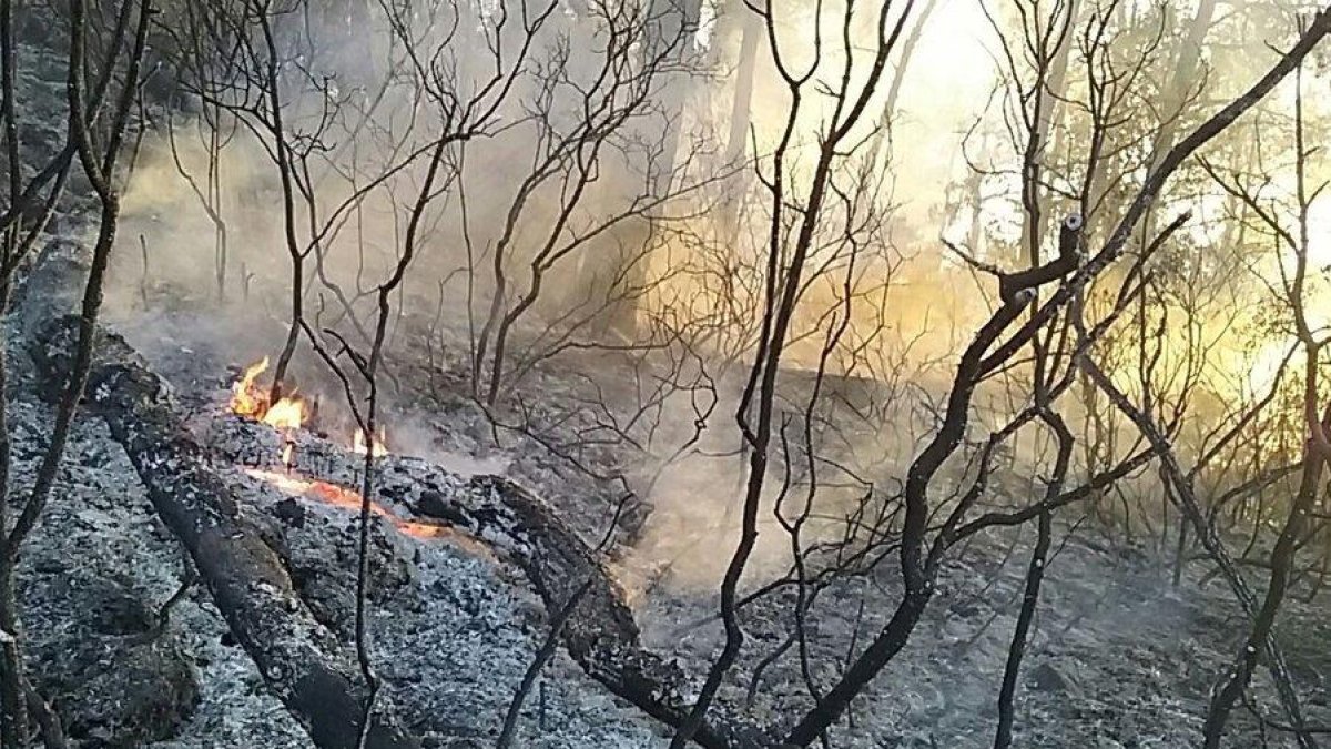 El incendio entre Bot y Caseres ha quemado unas 1,4 hectáreas