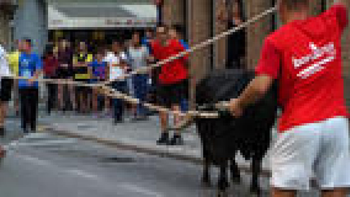 Abren expediente sancionador por la participación de menores de catorce años en un 'bou capllaçat' en Santa Bàrbara