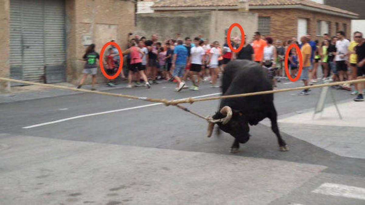 Plano general del 'bou capllaçat' de este pasado fin de semana en Santa Bàrbara con los menores participantes rodeados.