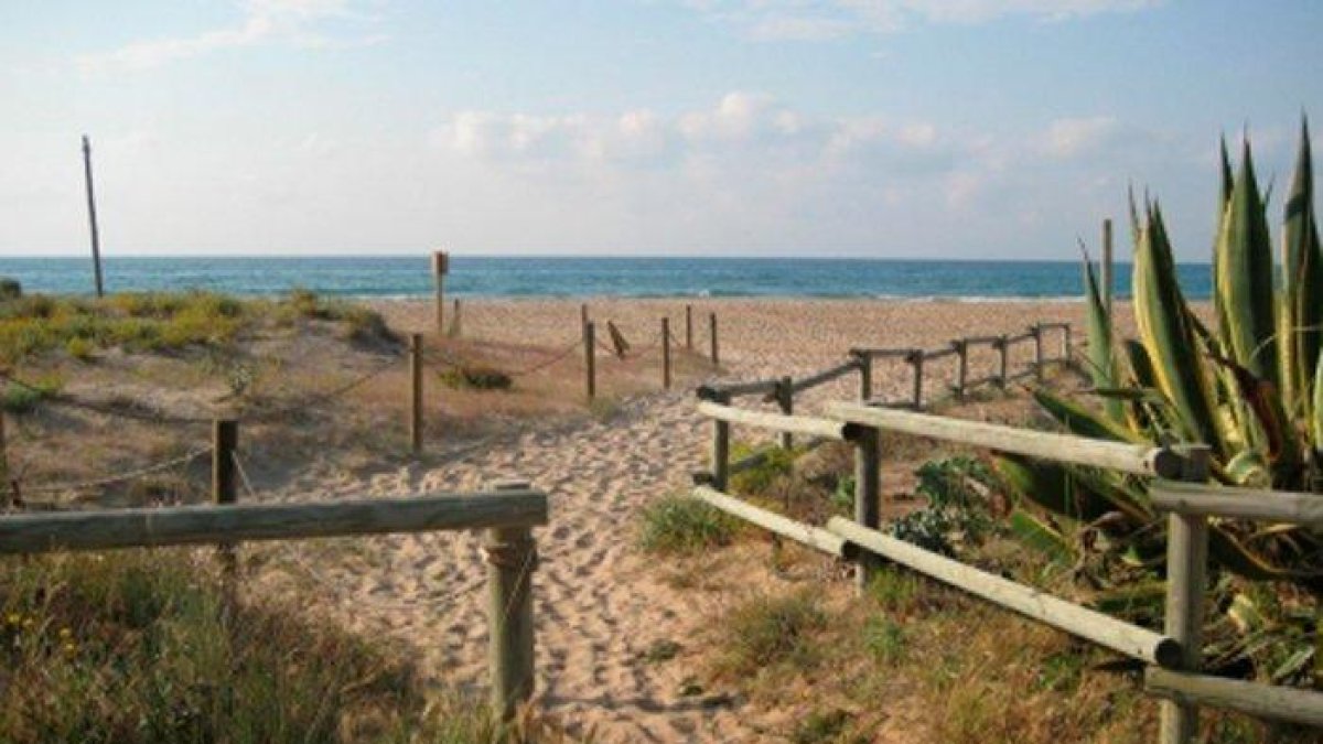Torredembarra adapta un circuito para invidentes para conocer el ecosistema de la playa