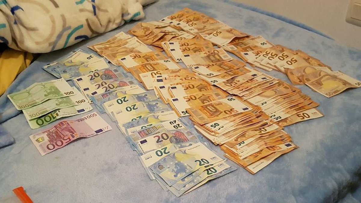 Desmanteladas dos plantaciones de marihuana con más de 800 plantas en Santa Oliva