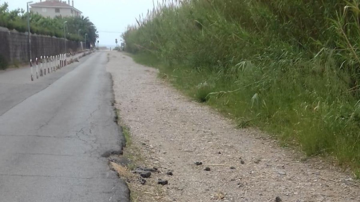 Denuncian el mal estado del Camí del Romaní de Sant Salvador