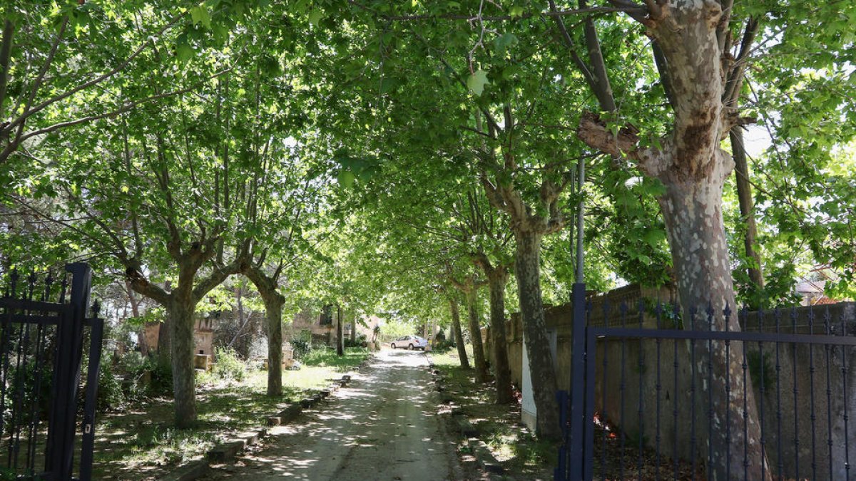 El gobierno de l'Albiol volverá a intentar desencallar Villa Urrutia