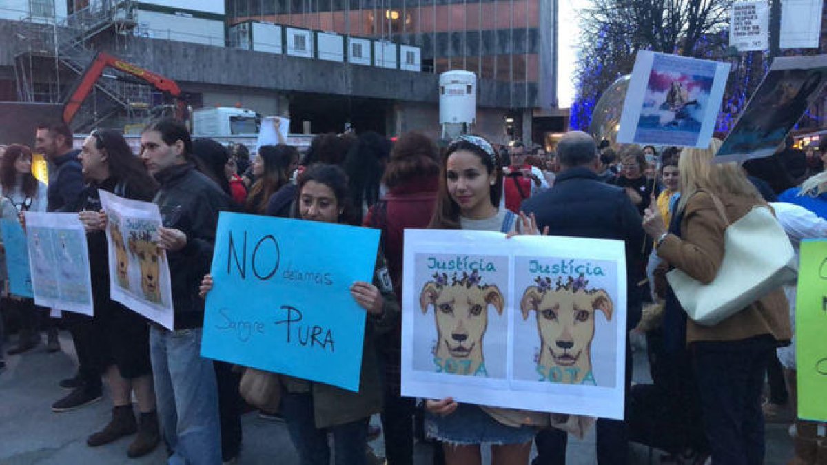 El PACMA convoca una protesta a Calafell per la mort a trets d'un gos per part de la Policia Local
