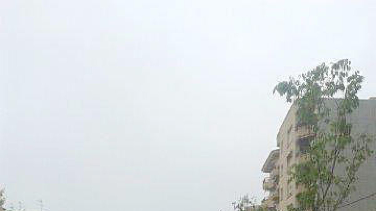 Reponen el arbolado de la avenida Vidal i Barraquer de Cambrils