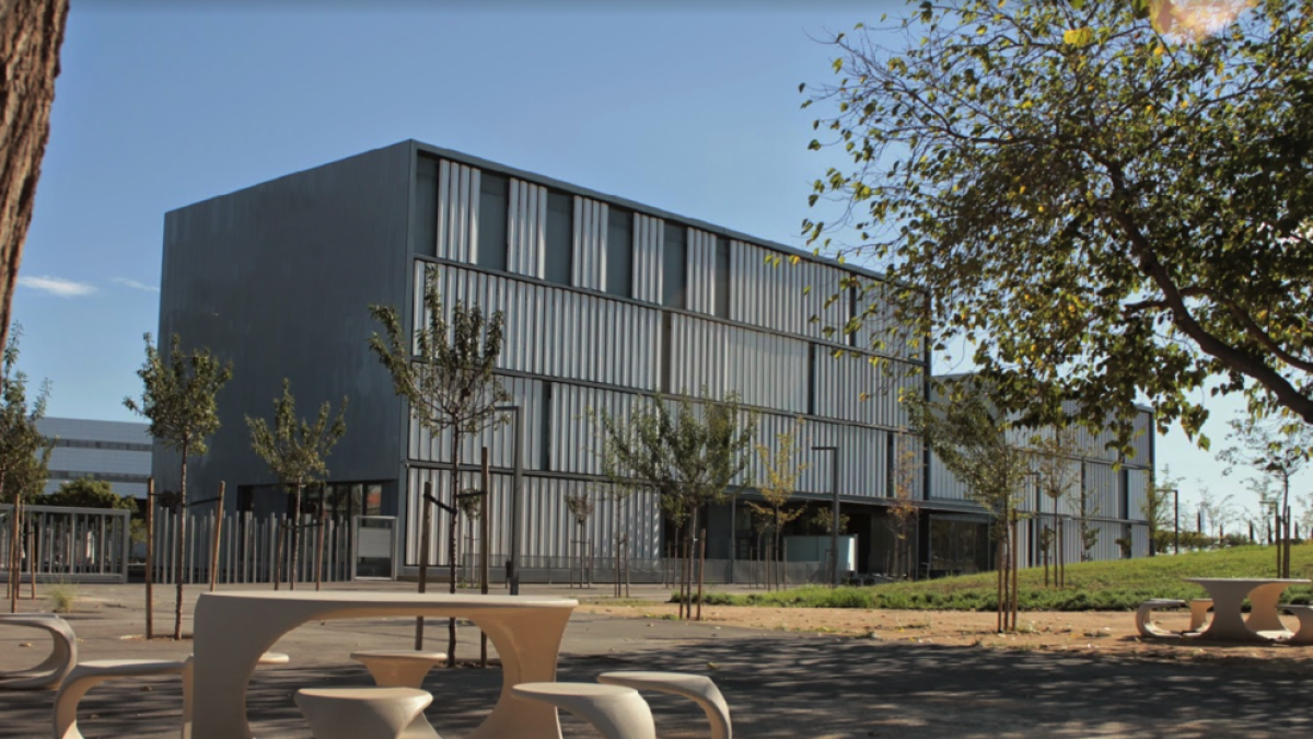 Un projecte europeu vol personalitzar la nutrició per evitar malalties