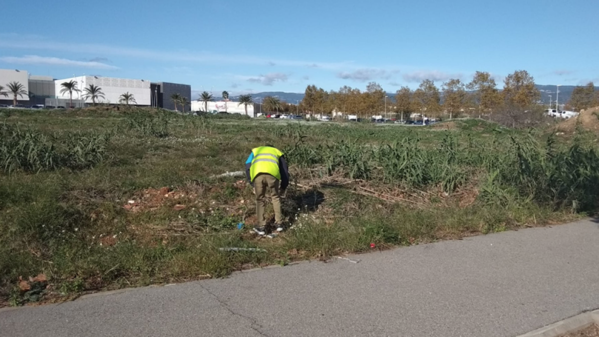 El Pla Municipal sobre Drogues estudia obrir una sala de venopunció