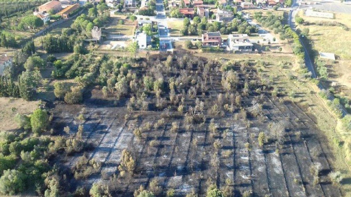 Un incendi de vegetació crema a la Selva del Camp