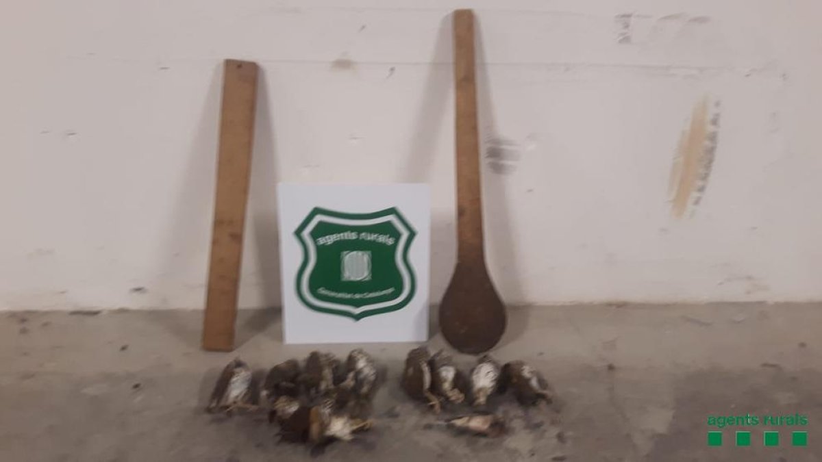 Dos denunciados por cazar pájaros de sus nidos con el método «fallar» en el Baix Ebre