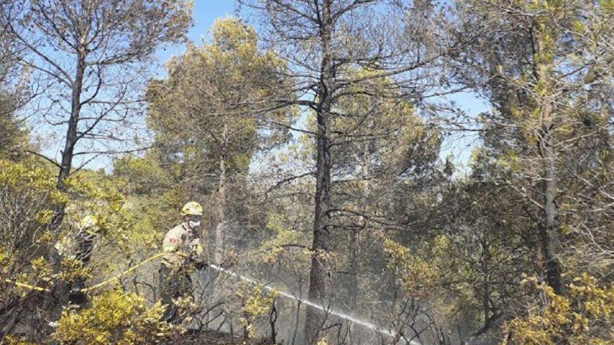 Els Bombers donen per controlat el foc de Pradell de la Teixeta