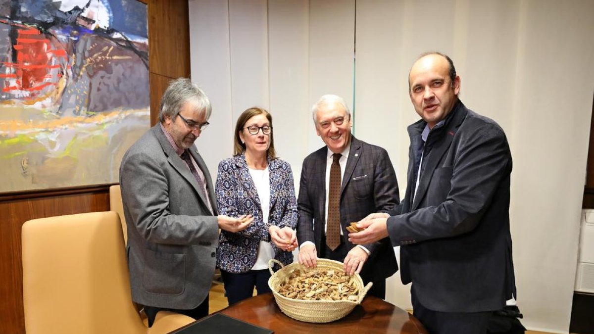 Edificios municipales del Camp y el Ebre se calentarán con astilla forestal a partir del 2020