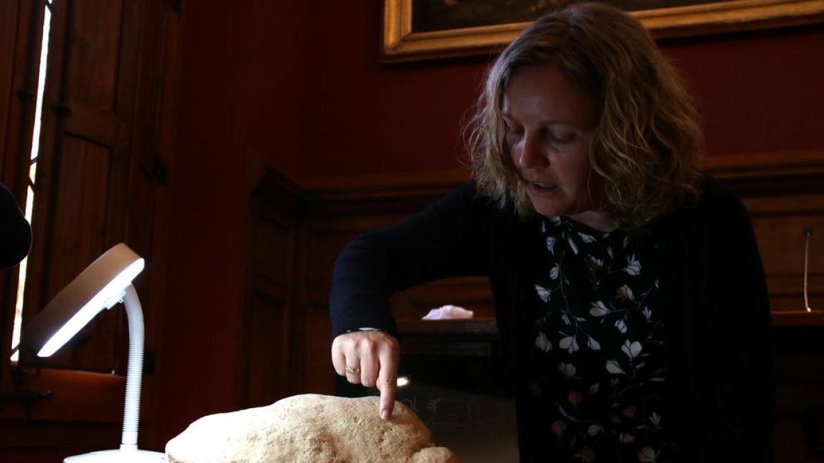 investigadors, UB, art paleolític, Hort de la Boquera, gravat