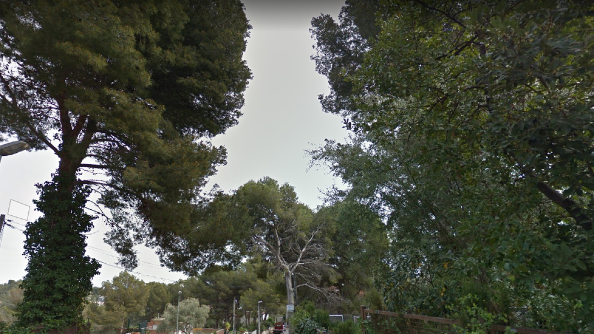 Detenen un home buscat pel jutge quan cremava portes d'una casa