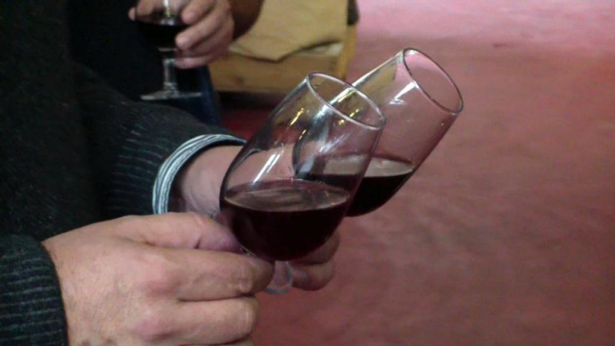 Un celler experimental de la URV elabora vi com ho feien els ibers