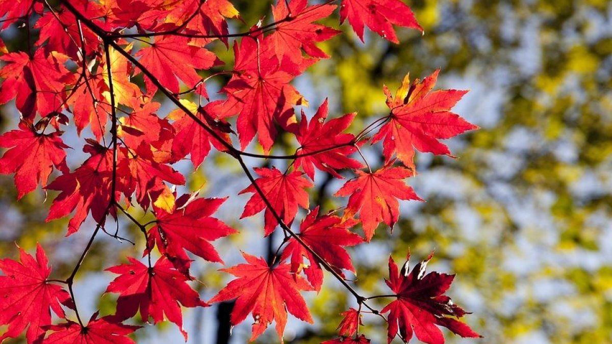 Un fin de semana de otoño descubriendo el entorno de las montañas de Prades