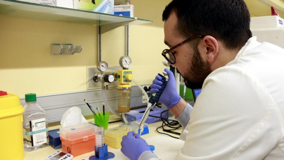 Un ensayo clínico demuestra el efecto positivo de las vacunas de inmunoterapia en el cáncer cerebral
