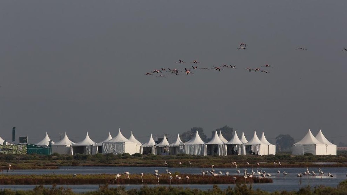 El Delta Birding Festival omple el delta de l'Ebre d'ornitòlegs i aficionats a la natura