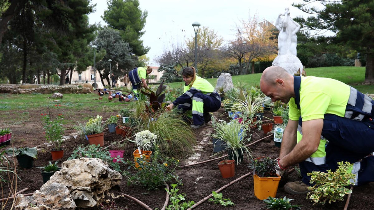 Flores y plantas en el Camp de Mart