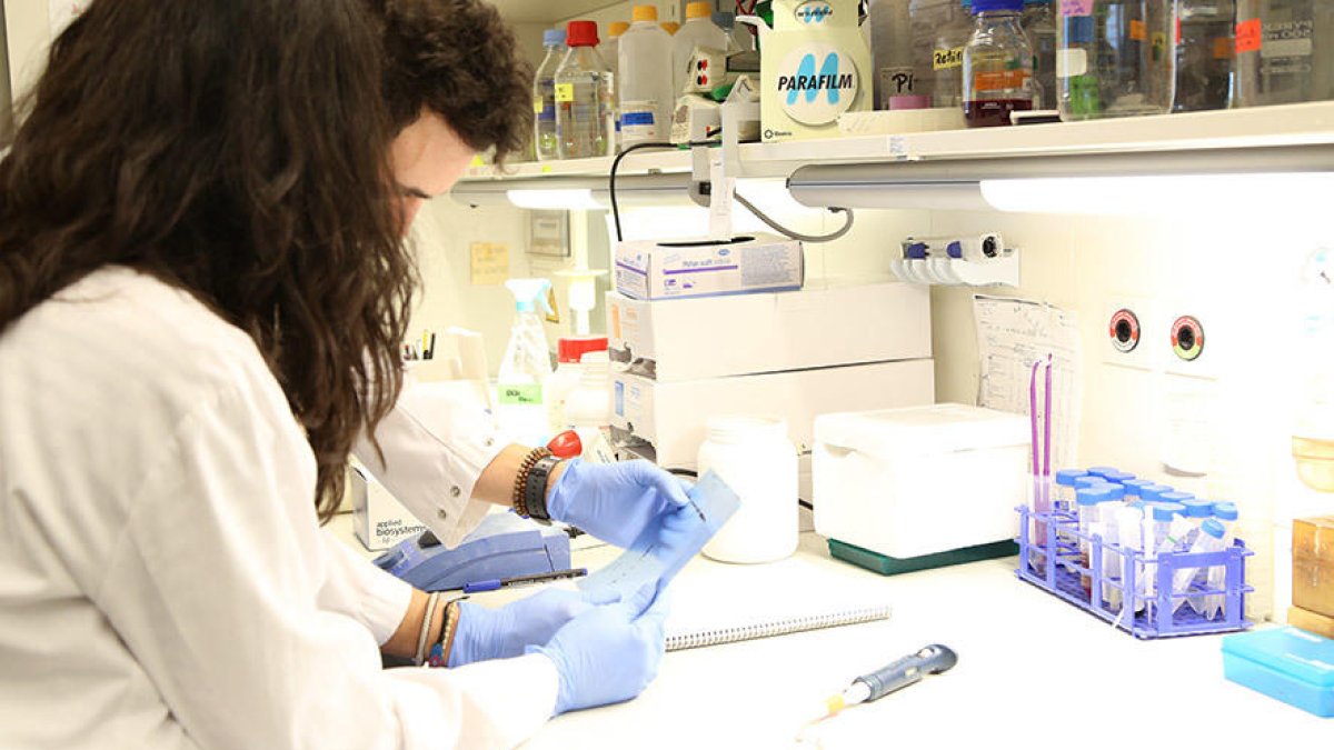 Aconsegueixen reduir fins a un 70% el risc de progressió d'un càncer d'ovari avançat