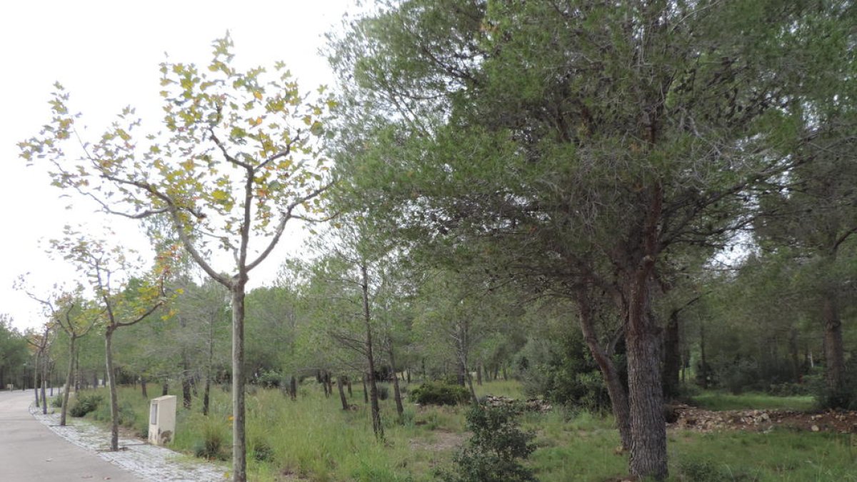 Mont-roig del Campo pondrá en venta de 17 solares municipales por 3,5 millones de euros