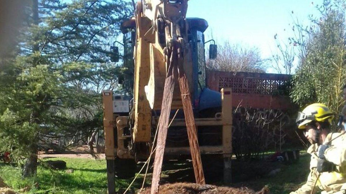 Els bombers rescaten un cavall a Marçà