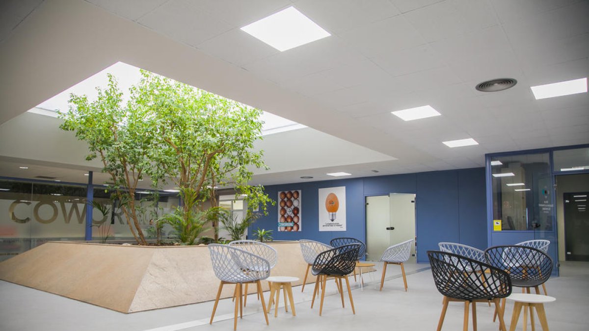 Redessa 1 es reinventa amb diners recuperats en el cas Tecnoparc