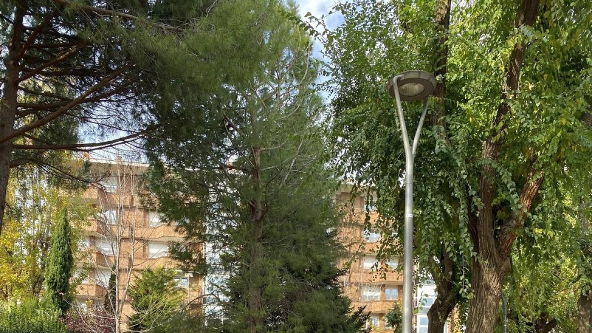 Inauguren un banc al Parc de Sant Jordi de Reus per rebutjar la TRANSfòbia