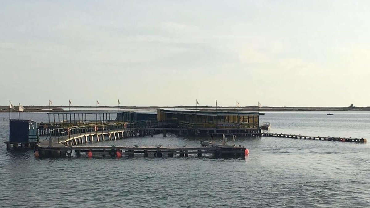 Imagen del Xiringuito de la Costa de la Ràpita.