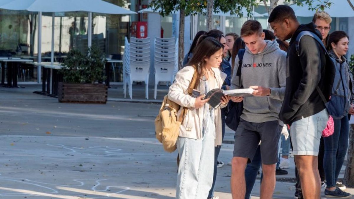 Augmenta en un 5,2% l'assignació de places en la primera distribució a la URV